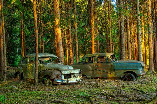 Altes Verlassenes Auto Wald — Stockfoto