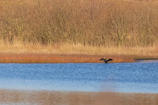 Hermosa Vista Naturaleza Del Lago Fondo — Foto de Stock