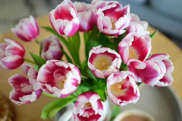 Belles Tulipes Dans Jardin — Photo