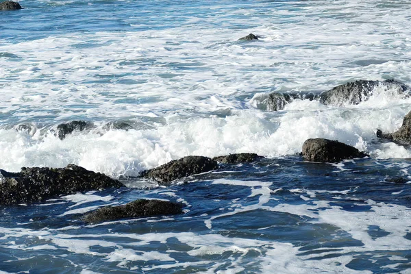 นกระทบชายหาด — ภาพถ่ายสต็อก