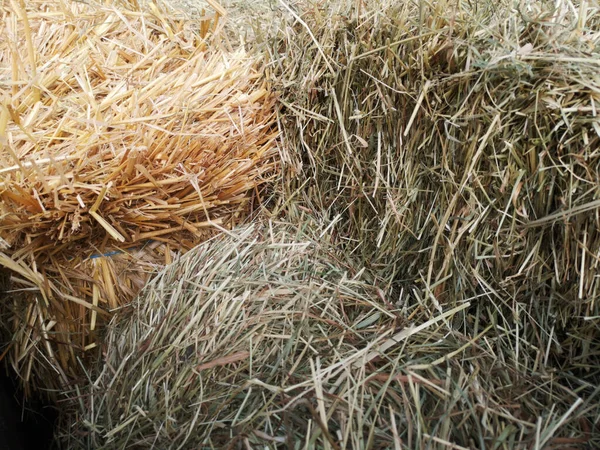 Heuballen Auf Einem Stroh — Stockfoto