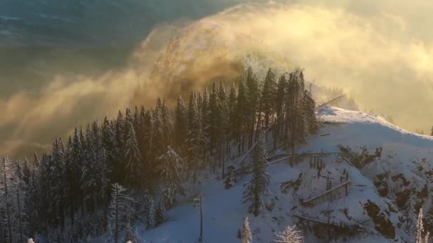Winterwald Berge Schnee Bäume Und Blauer Himmel Landschaft Hintergrund Kopierraum — Stockvideo