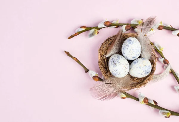 Paskalya Yumurtaları Söğüt Dalları Beyaz Bir Arka Plan Üzerinde — Stok fotoğraf