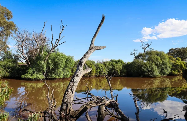 Bella Vista Sul Lago Nel Parco — Foto Stock