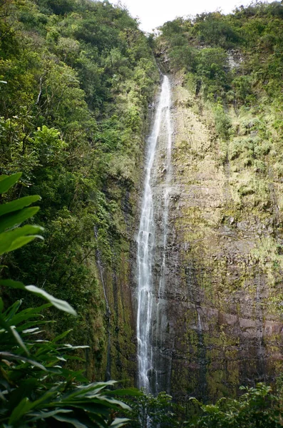 Wasserfall Wald — Stockfoto