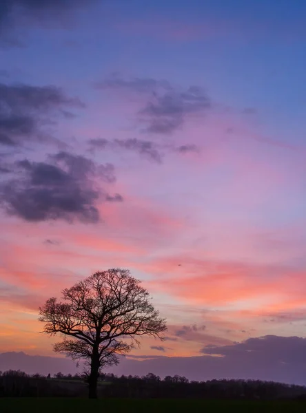 Belo Pôr Sol Sobre Lago — Fotografia de Stock