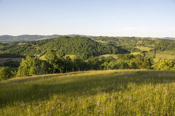 Beau Paysage Avec Une Rivière Une Montagne — Photo