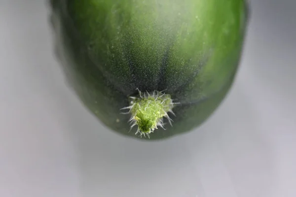 Grüne Zwiebel Auf Weißem Hintergrund — Stockfoto