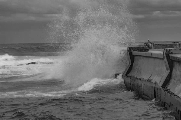 Foto Bianco Nero Uomo Mare — Foto Stock