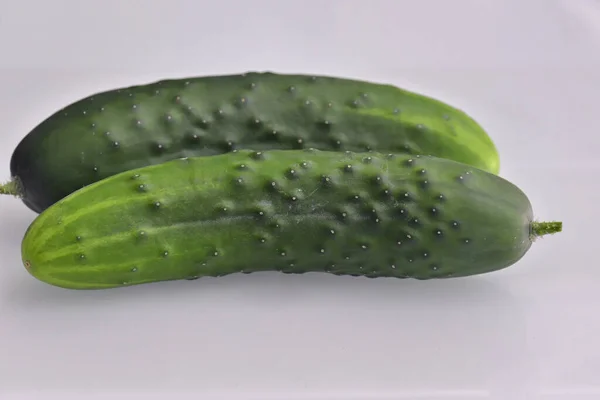 Cucumber White Background — Stock Photo, Image