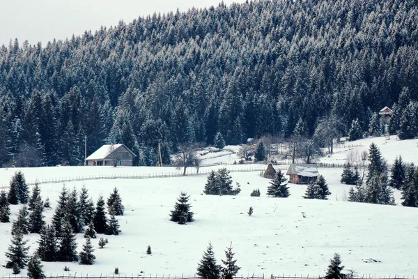 Bela Paisagem Inverno Com Árvores Cobertas Neve — Fotografia de Stock