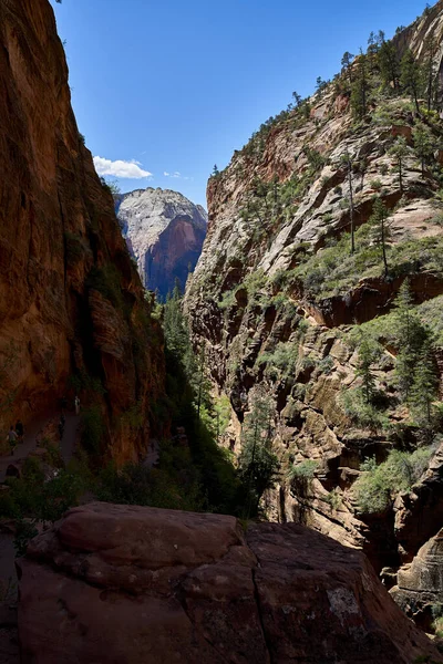 Taman Nasional Zion Utah Usa — Stok Foto