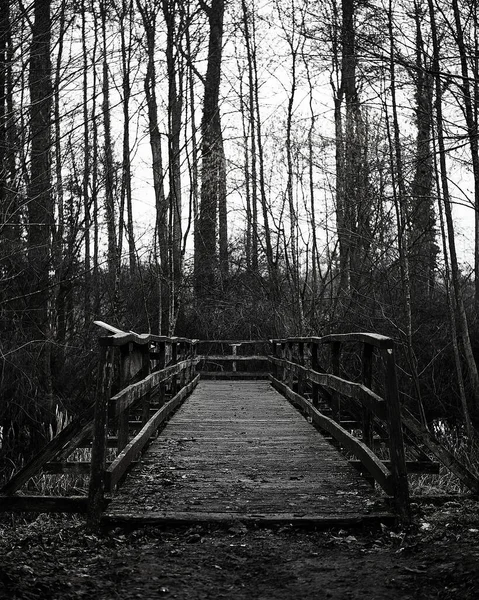 Oude Houten Brug Het Bos — Stockfoto