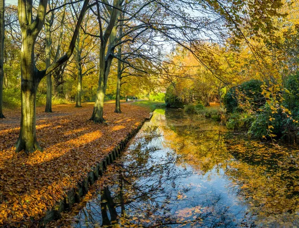 Outono Paisagem Com Árvores Folhas — Fotografia de Stock