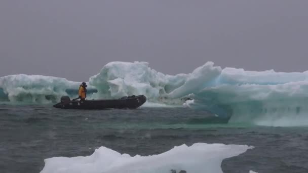 Uomo Barca Tra Gli Iceberg — Video Stock