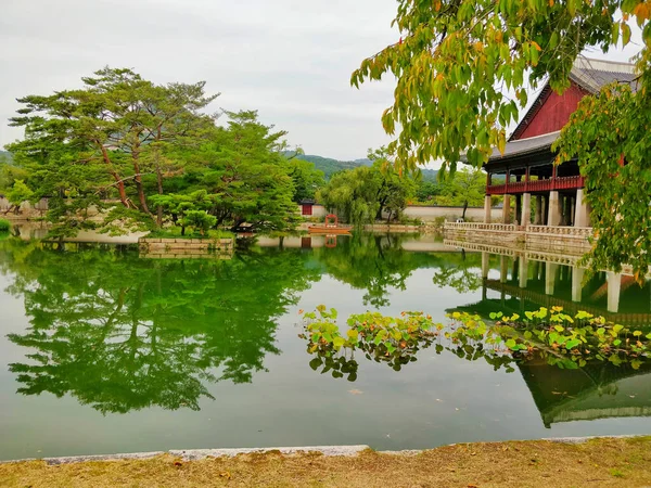 公園の美しい景色 — ストック写真