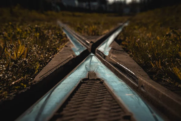 Bahngleise Wald — Stockfoto