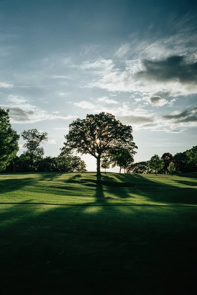 Krásné Zelené Pole Stromy Modrá Obloha — Stock fotografie