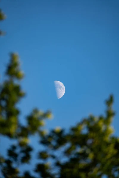 Luna Nel Cielo — Foto Stock