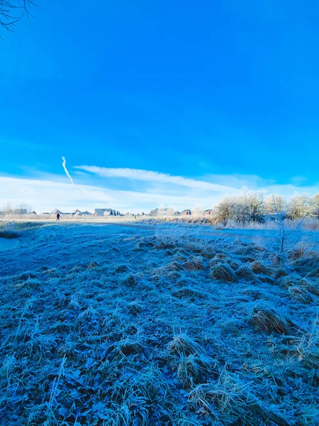 Bela Paisagem Com Neve Árvores — Fotografia de Stock