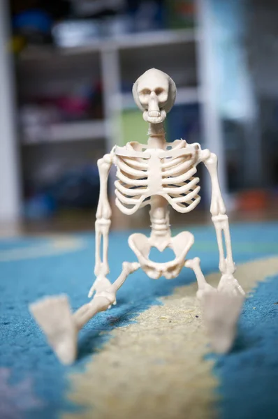 Скелет Человека Медицинской Маске — стоковое фото