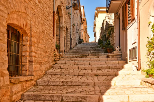 Rua Velha Cidade Jerusalem Israel — Fotografia de Stock