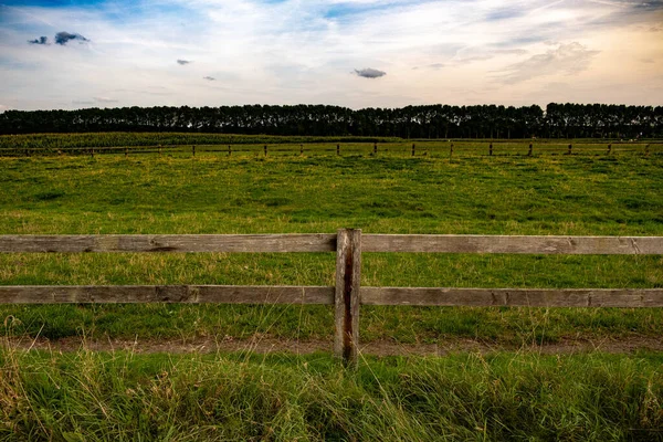 Красивый Пейзаж Забором Полем — стоковое фото