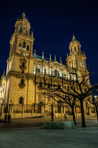 Catedral Nuestra Señora Noche Praga República Checa — Foto de Stock