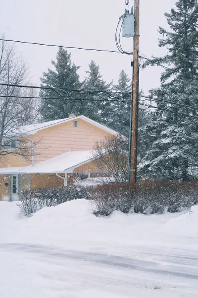 Winterlandschaft Mit Schneebedeckten Bäumen — Stockfoto