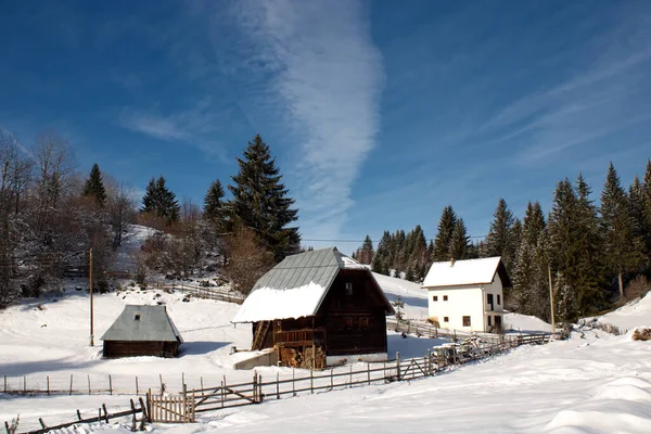 Vinterlandskap Med Snötäckta Träd — Stockfoto