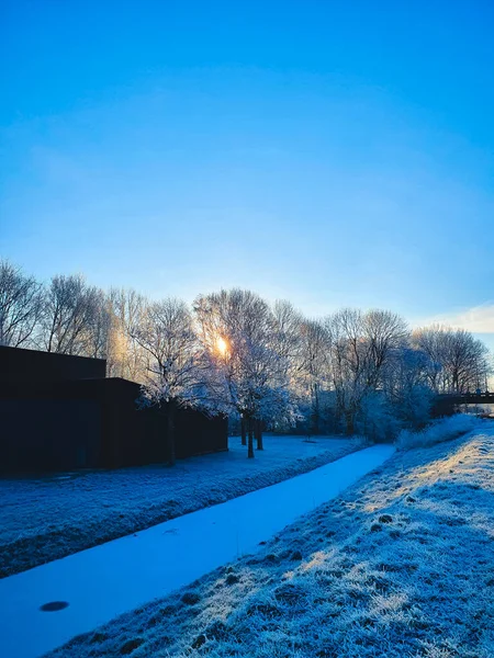 Vackert Vinterlandskap Med Snö Och Träd — Stockfoto