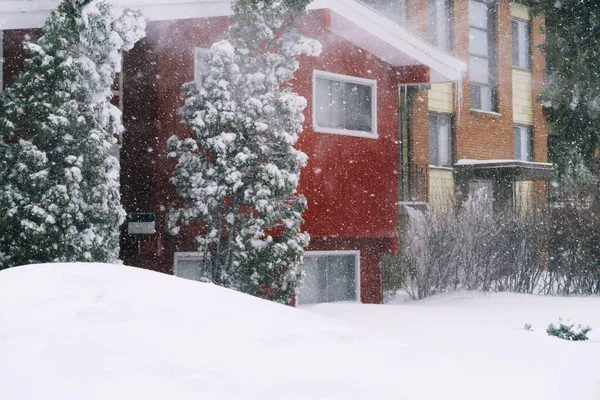 Árboles Cubiertos Nieve Parque — Foto de Stock