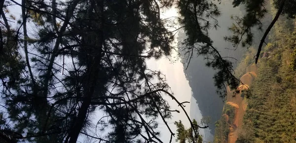 Belle Vue Sur Forêt Dans Les Montagnes — Photo