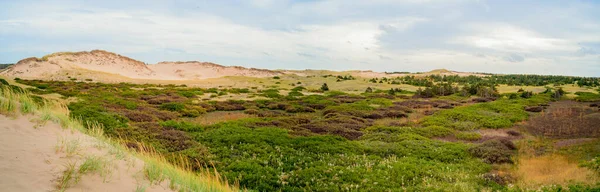 Srail Kuzeyindeki Ölü Denizin Adasının Kumullarının Güzel Manzarası — Stok fotoğraf