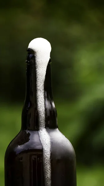 Bierflesje Met Groen Gras Een Glas Water — Stockfoto