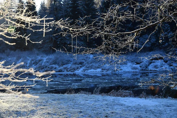 Χειμερινό Τοπίο Χιόνι Και Δέντρα — Φωτογραφία Αρχείου
