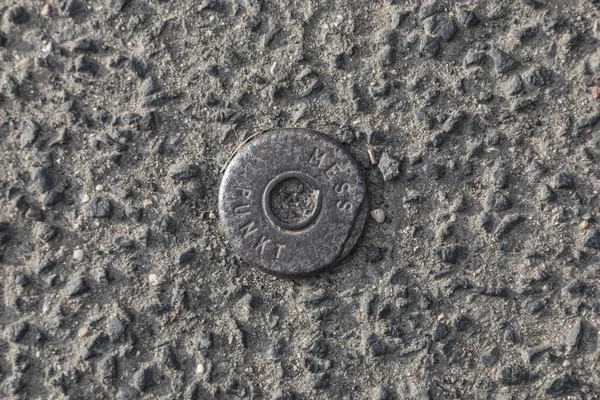 Een Close Shot Van Een Slak Een Steen — Stockfoto