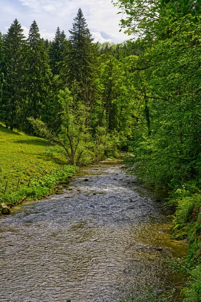 Krásná Krajina Řekou Lese — Stock fotografie