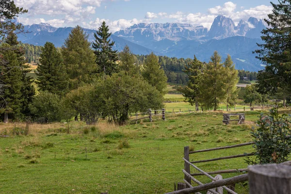 Amazing Mountain Landscape Green Trees — Stock Photo, Image