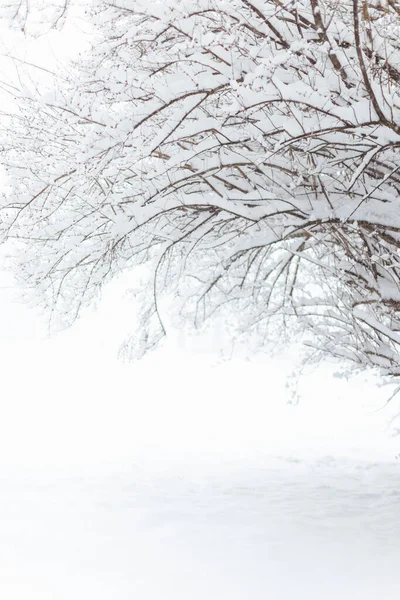 Winterlandschaft Mit Schnee — Stockfoto