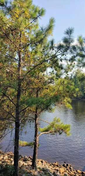 Bela Vista Lago Parque — Fotografia de Stock