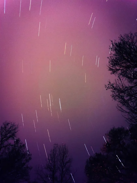 Beau Ciel Nocturne Avec Étoiles Arbres — Photo