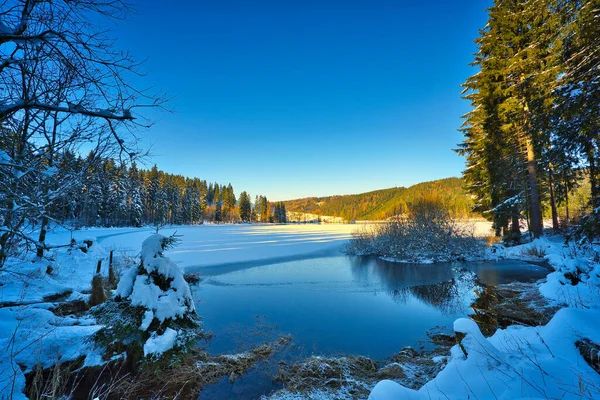 Prachtig Winterlandschap Met Sneeuw Bomen — Stockfoto