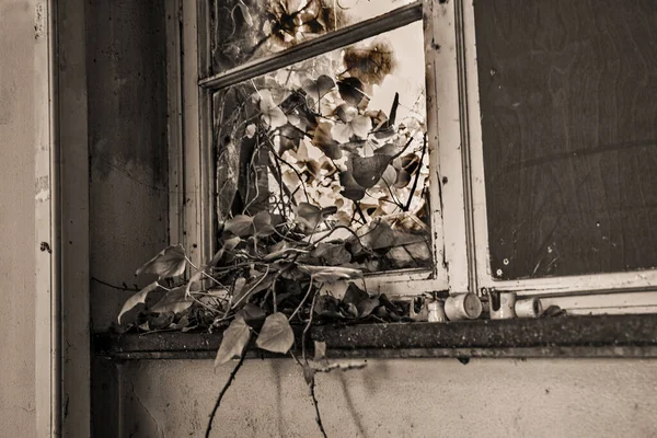 Antigua Casa Abandonada Ciudad — Foto de Stock