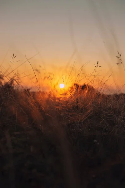 Bellissimo Tramonto Nel Campo — Foto Stock