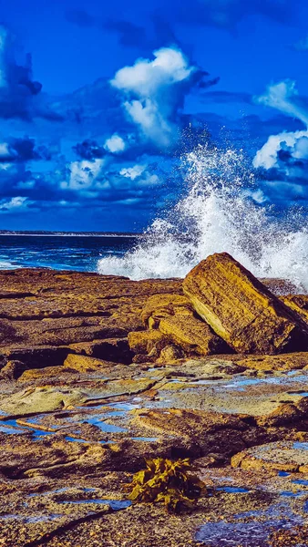 Bellissimo Mare Sera Natura Della Costa Baltica — Foto Stock