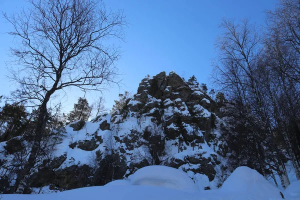 Karlı Ağaçlı Güzel Bir Manzara — Stok fotoğraf