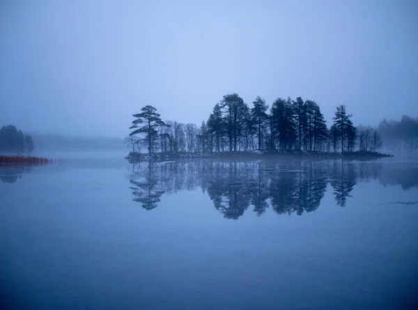 Göl Ağaçlarla Dolu Güzel Bir Manzara — Stok fotoğraf
