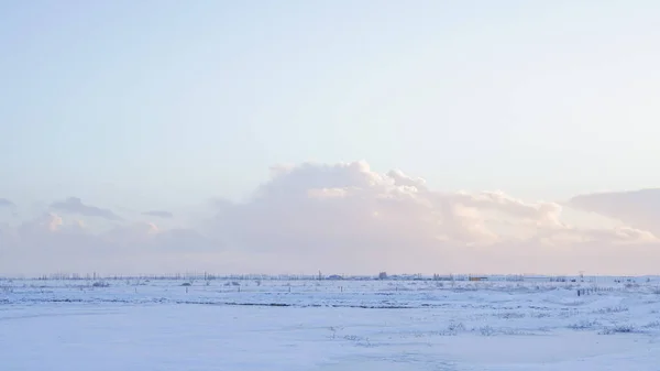 Красивий Краєвид Засніженими Деревами Взимку — стокове фото