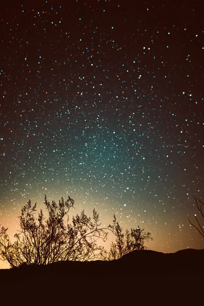 Красивое Ночное Небо Звездами Деревьями — стоковое фото